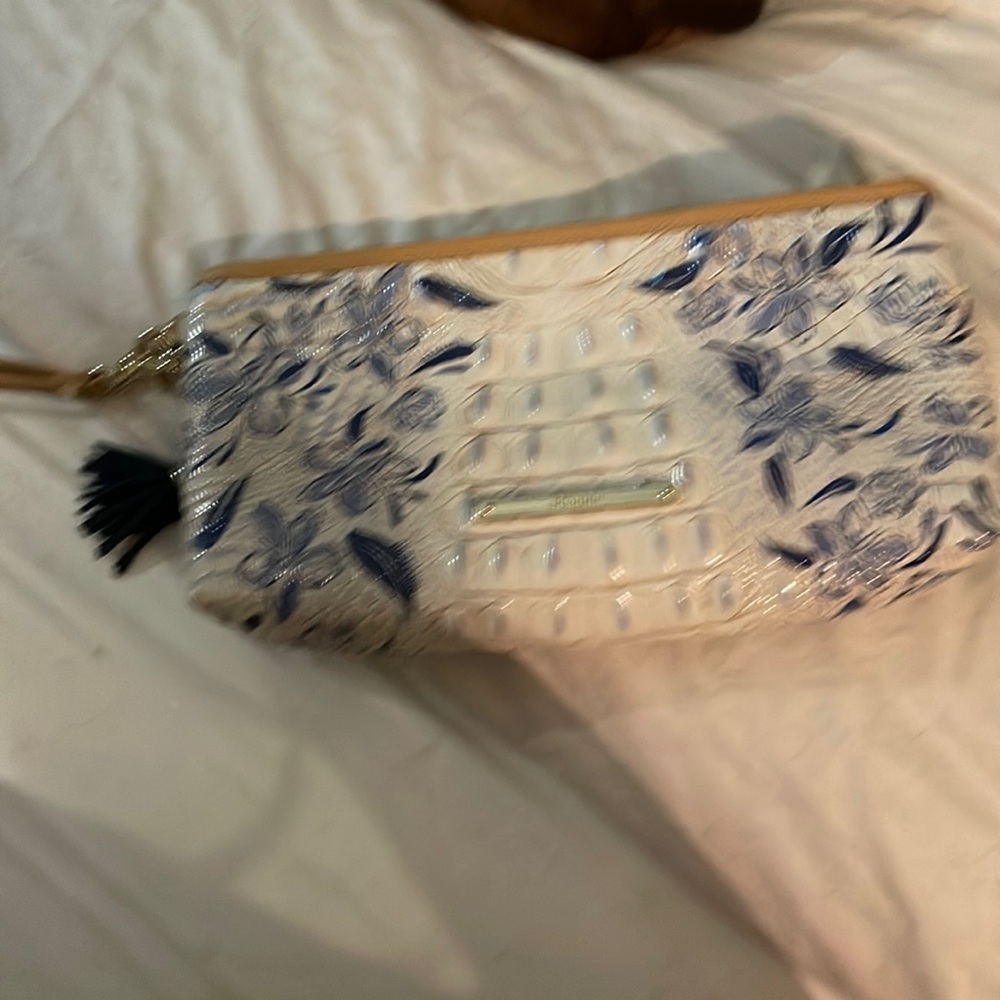 Brahmin clutch with wristlet (removable) and tassel ( removable) and duster